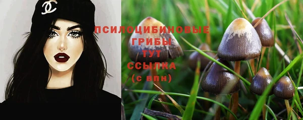 дурь Заволжск